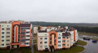 Апартаменты Cosy araghtment on Brilevskay Борисов Апартаменты с балконом-38